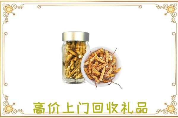 韶关市周边回收虫草